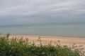 Property photo of 46 Palm Tree Drive Safety Beach VIC 3936