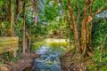 Property photo of 125 Janke Road Nerada QLD 4860