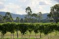 Property photo of 137 Mount View Road Cessnock NSW 2325