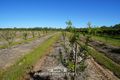 Property photo of 446 Chewko Road Mareeba QLD 4880