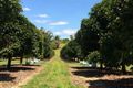 Property photo of LOT 2 Cooroo Lands Road Cooroo Lands QLD 4860