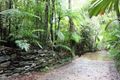 Property photo of LOT 25 Forest Creek Road Forest Creek QLD 4873