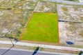 Property photo of 24 Stringer Avenue Gillieston Heights NSW 2321
