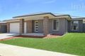 Property photo of 14 Lankester Court Thurgoona NSW 2640