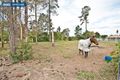 Property photo of 116 Thornbill Drive Upper Caboolture QLD 4510
