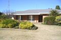 Property photo of 26 Pelham Road Risdon Park South SA 5540