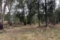 Property photo of 1213 Mole River Road Mole River NSW 2372