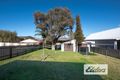 Property photo of 43 Dickson Street Lambton NSW 2299