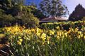 Property photo of 180 Beach Road Berry NSW 2535