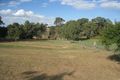 Property photo of 14 Preshaw Street Castlemaine VIC 3450