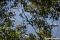 Property photo of 43 Cabarita Road Avalon Beach NSW 2107