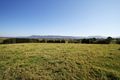 Property photo of 359B Coolangatta Road Far Meadow NSW 2535