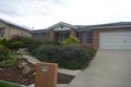 Property photo of 16 Cumberland Court Tatton NSW 2650