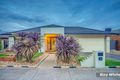 Property photo of 13 Swordgrass Avenue Tarneit VIC 3029