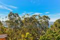 Property photo of 70 Vista Avenue Catalina NSW 2536
