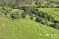 Property photo of 6 Reining Road Sarabah QLD 4275