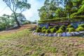 Property photo of 14/6 Heard Street Mawson ACT 2607