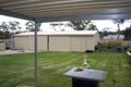 Property photo of 199 Victoria Parade Bordertown SA 5268