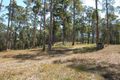 Property photo of 187 Allandale Road North Arm QLD 4561