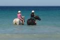 Property photo of 1599 North West Coastal Highway Buller WA 6532