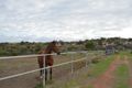 Property photo of 1599 North West Coastal Highway Buller WA 6532