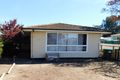 Property photo of 25 Cotton Street Bordertown SA 5268
