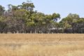 Property photo of 12 Newton Road Coblinine WA 6317