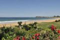 Property photo of 1140 Pittwater Road Collaroy NSW 2097