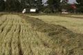 Property photo of 2 McNamara Road Minnipa SA 5654