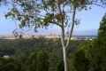 Property photo of 2 Chesterfield Drive Bonogin QLD 4213