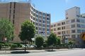 Property photo of 223/1 Missenden Road Camperdown NSW 2050