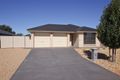 Property photo of 20 Reusch Drive Nuriootpa SA 5355
