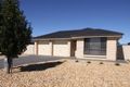 Property photo of 20 Reusch Drive Nuriootpa SA 5355
