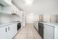 Property photo of 27 Yucca Court Mountain Creek QLD 4557