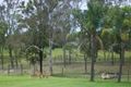 Property photo of 166 Fourth Road Berkshire Park NSW 2765