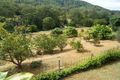 Property photo of 48 Kentish Road Kiels Mountain QLD 4559
