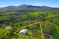Property photo of 194 Brays Creek Road Tyalgum NSW 2484