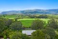 Property photo of 194 Brays Creek Road Tyalgum NSW 2484