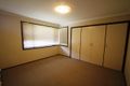Property photo of 56 Bungarra Crescent Chipping Norton NSW 2170