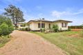 Property photo of 19 Lowan Avenue Red Cliffs VIC 3496