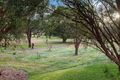 Property photo of 36 Hughes Crescent Kiama Downs NSW 2533