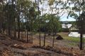 Property photo of 352 Torquay Terrace Torquay QLD 4655
