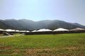 Property photo of 1 Northgate Close Redlynch QLD 4870