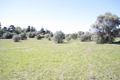 Property photo of 29 Winders Lane Lochinvar NSW 2321