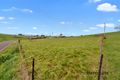 Property photo of 97 Winnaleah Road Winnaleah TAS 7265