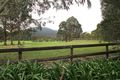 Property photo of 11 Badger Weir Road Badger Creek VIC 3777