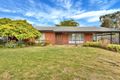 Property photo of 21 Elizabeth Avenue Nuriootpa SA 5355