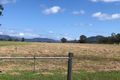 Property photo of 26 Carter Road Aratula QLD 4309