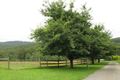 Property photo of 160 Belgrave-Gembrook Road Selby VIC 3159