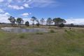 Property photo of 128 Donges Road Severnlea QLD 4380